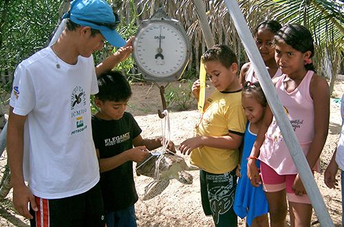 Simpósio na Venezuela trata de tartarugas e educação ambiental